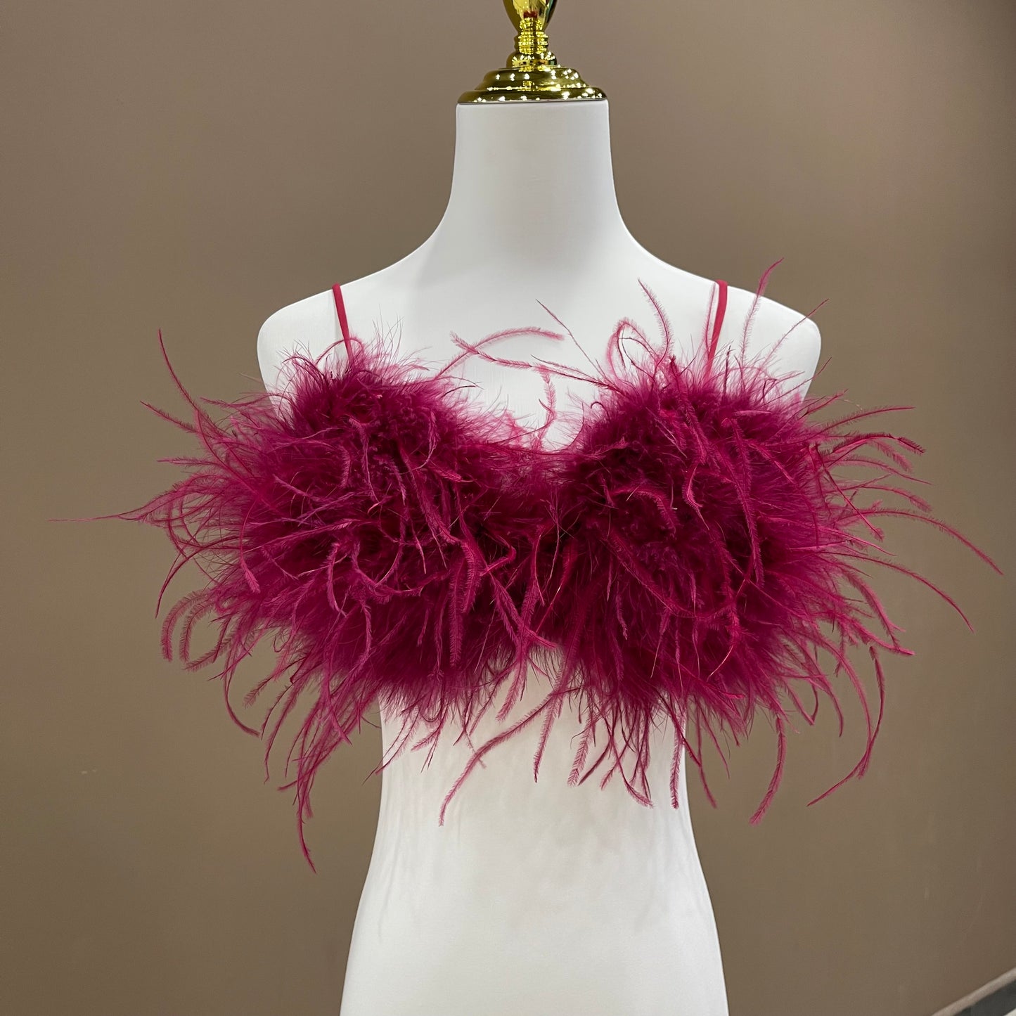 Ostrich feather bra, ostrich feather vest, ostrich feather chest wrap, backless sexy bra, women's beautiful back bra, outer wear bra vest, wholesale, clothing factoryTriangle cup bra