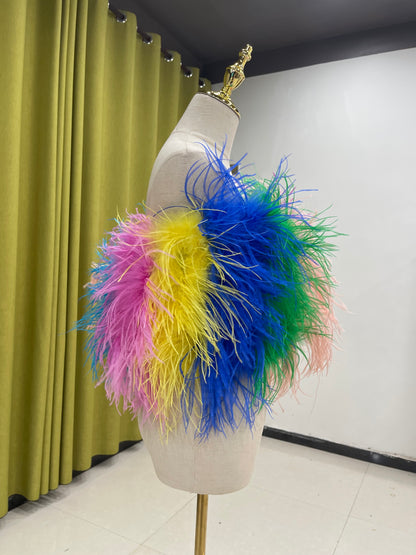 30cm long splicing color bra, feather bra, ostrich feather sleeveless top, off-shoulder vest for women, can be customized, can be wholesaled