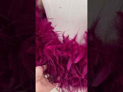 Feather Shawls, Ostrich feathers，Arm-Drape Shawls, Formal Wear Shawls—Handcrafted from Ostrich and Turkey Feathers. Ideal as Accessories for Formal Attire and Performance Costumes. Custom Orders and Wholesale Available.